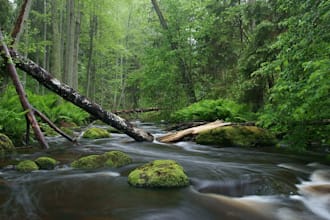 do scenic nature photography