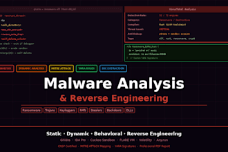 perform static and dynamic malware analysis with detailed report