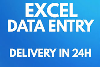 do fast data entry, PDF to word, excel in 24h fr en mg