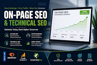 fix on page and technical seo issues on your website