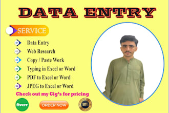 do professional data entry and excel data cleaning