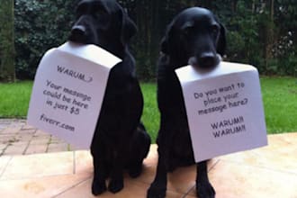 take high quality picture of two dogs holding your message