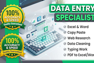 do data entry, excel, copy paste, typing, web research
