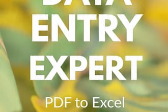 do accurate data entry, copy typing and pdf to excel
