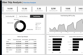 clean the data and make clean powerbi dashboard