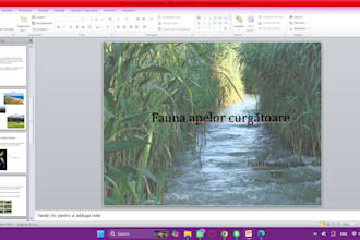 create stunning powerpoint presentations