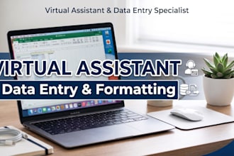 be your virtual assistant for data entry and executive summary writing