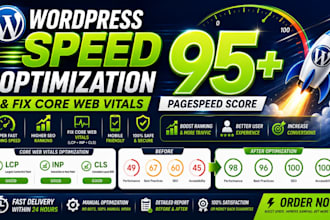 do wordpress speed optimization and fix core web vitals