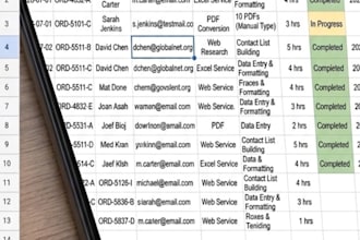 expert data entry and virtual assistant tasks