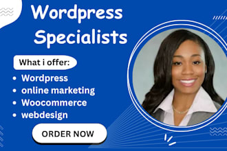 create a professional german wordpress website, woocommerce webshop, and SEO