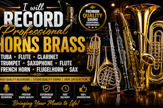 record professional horns brass tuba flute clarinet trumpet saxophone frenchhorn