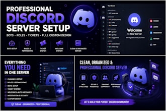 create a professional discord server setup with bots, roles and custom design