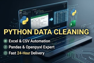 write python scripts to clean and automate excel and csv data