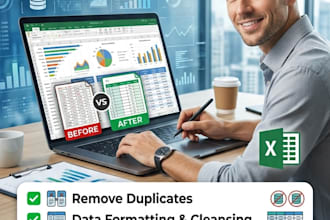 do expert financial data cleaning, excel data entry, and automation