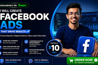 setup and manage facebook and instagram ad campaigns