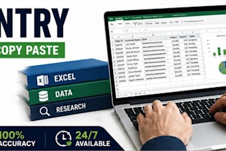 accurate data entry excel copy paste and web research