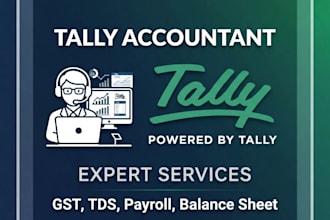 do expert accounting and book keeping in tally