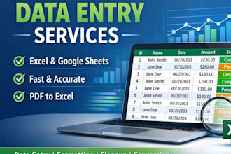 fast and accurate data entry work in excel and google sheets