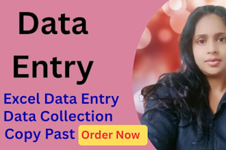 do excel data entry, copy paste, and bookkeeping tasks
