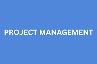 do any task of project management