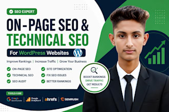 fix on page and technical SEO issues on wordpress