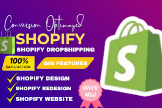 design redesign shopify store, build shopify website, dropshipping store