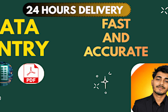 do professional data entry, PDF to excel, web research
