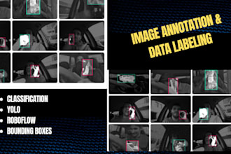 data annotation, bounding box, and image labeling in roboflow