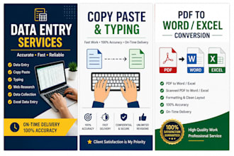 accurate data entry, copy paste, typing, PDF to word and excel