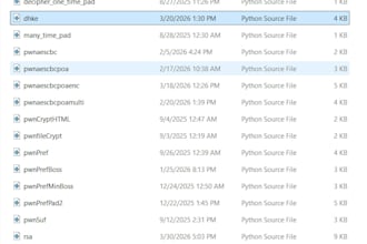 fix python bugs for you