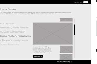 offer user research strategy and consultation