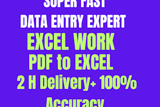 do fast and 100 percent accurate data entry in excel and CSV in 2 hours