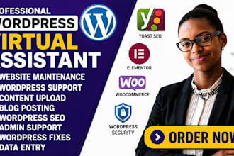 be the fastest wordpress virtual assistant website maintenance wordpress support