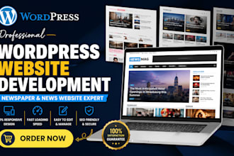 develop perfect wordpress website development, wordpress newspaper website