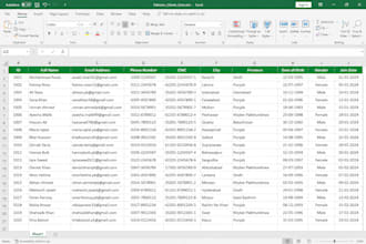 do accurate data entry and PDF conversion