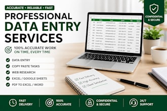 do accurate data entry, excel, copy paste and web research