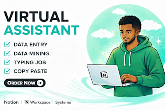 be your virtual assistant for data entry, data mining, copy paste, notion
