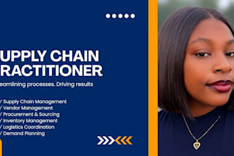 provide professional supply chain and logistics support