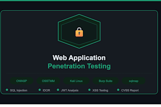 perform web application penetration testing and security audit