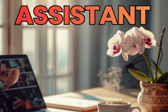 virtual assistant executive assistant admin support personal assistant
