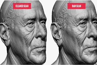 do 3d cad clean up convert scan or mesh data to 3d printable