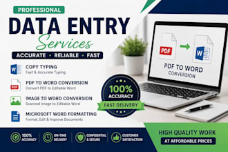 do accurate data entry, copy typing, PDF to word conversion, and microsoftword