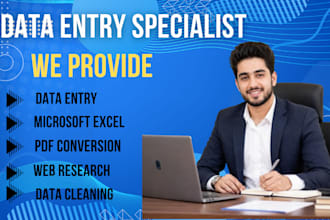 provide high quality data entry and excel work