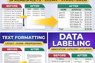 precise data entry, copy paste, and text formatting tasks