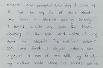 provide neat handwriting services