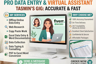 do professional date entry and copy paste work