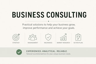 provide business consulting services