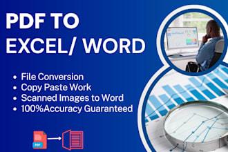 do expert PDF to excel, PDF to word conversion, and copy paste work