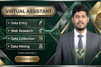 do accurate data entry, excel data entry and web research