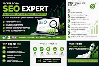 optimize website SEO, fix technical issues and improve rankings